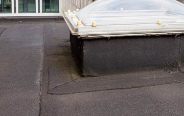 disadvantages of Wyng flat roofs