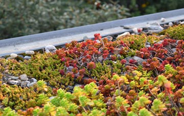 the cost of Wyng green roof installation