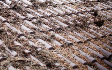 Wyng roof cleaning companies