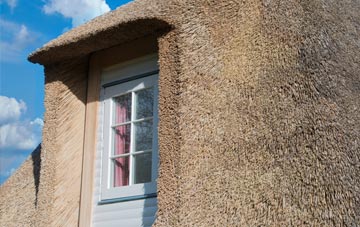 Wyng thatch roof disadvantages