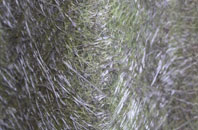 Wyng fibreglass roof work