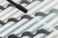 rated Wyng roof cleaning companies